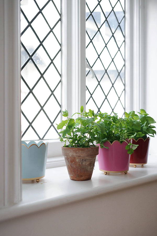 A windowsill with different coloured small Tooka small scalloped planters filled with herbs.