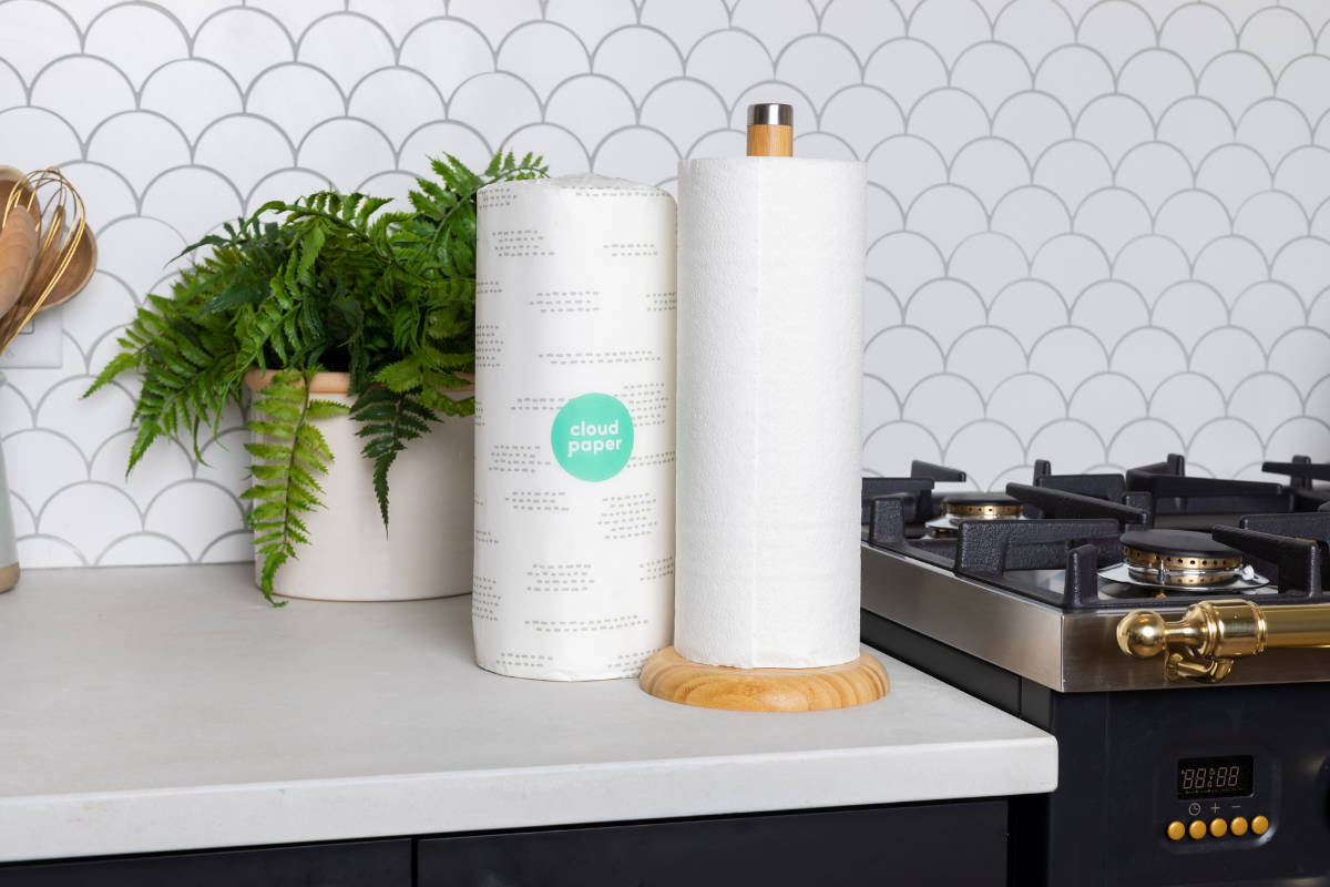 bamboo paper towels by cloud paper