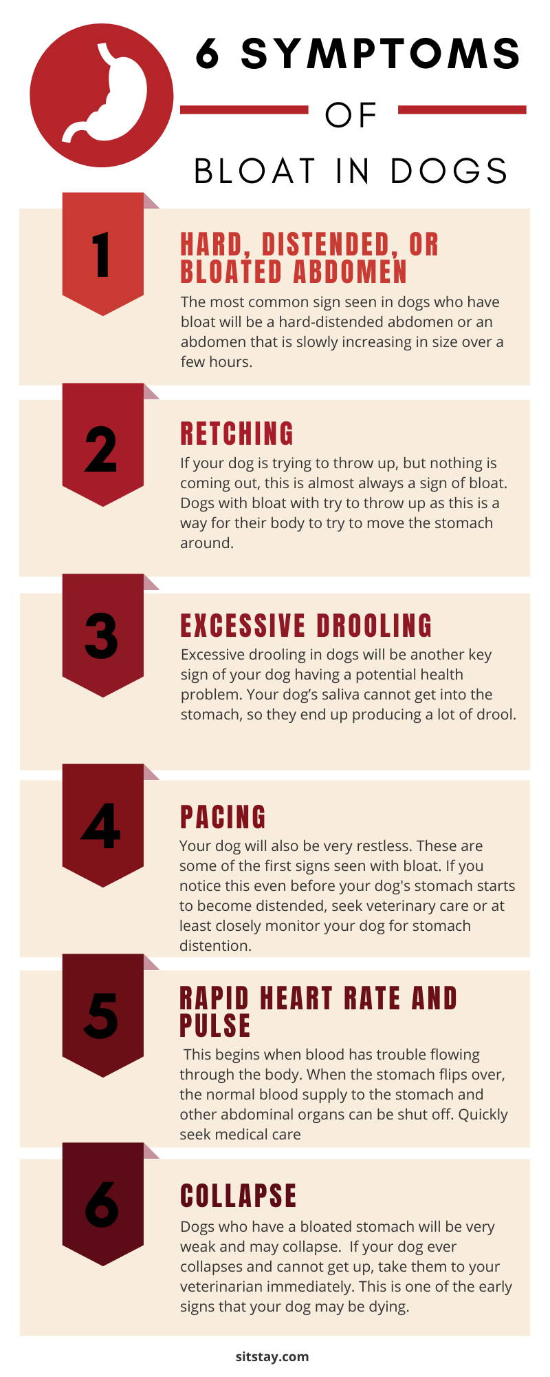 how long do symptoms of bloat last in dogs