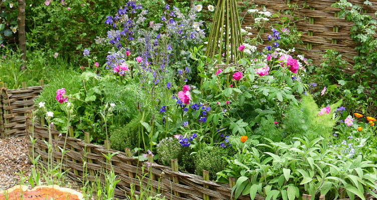 Flower and Herb Border