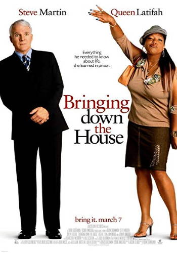 Movie poster for Bringing down the House