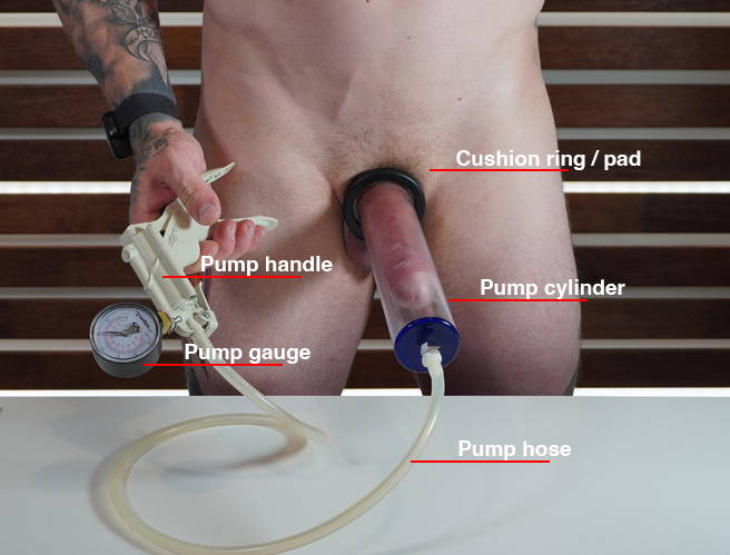 Penis pump basic structure