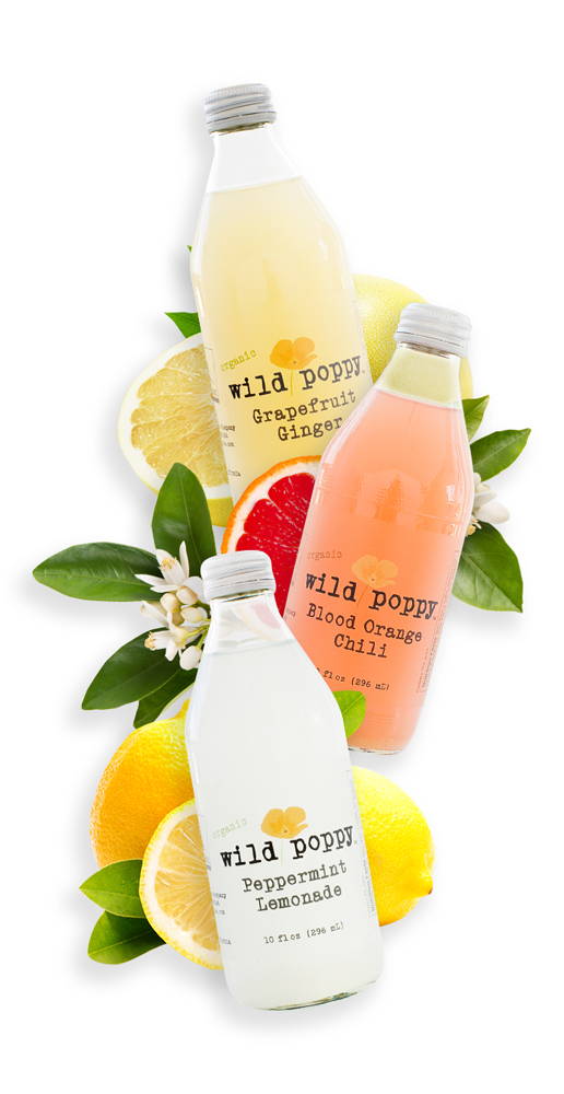 Wild Poppy Grapefruit Ginger, Blood Orange Chill, and Peppermint Lemonade bottles surrounded by grapefruit, blood orange, and lemons.