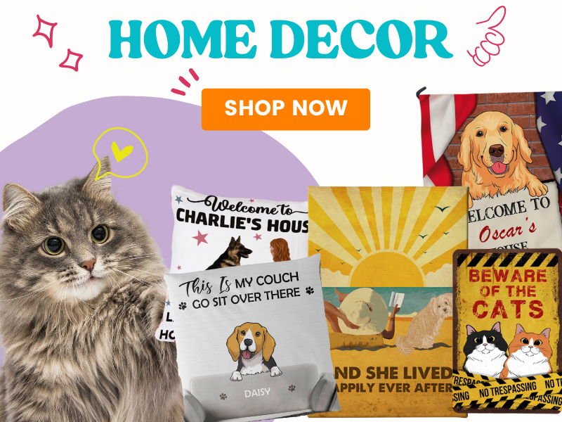 Home-Decor-Collection