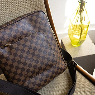 Louis Vuitton Speedy Bag Vase
