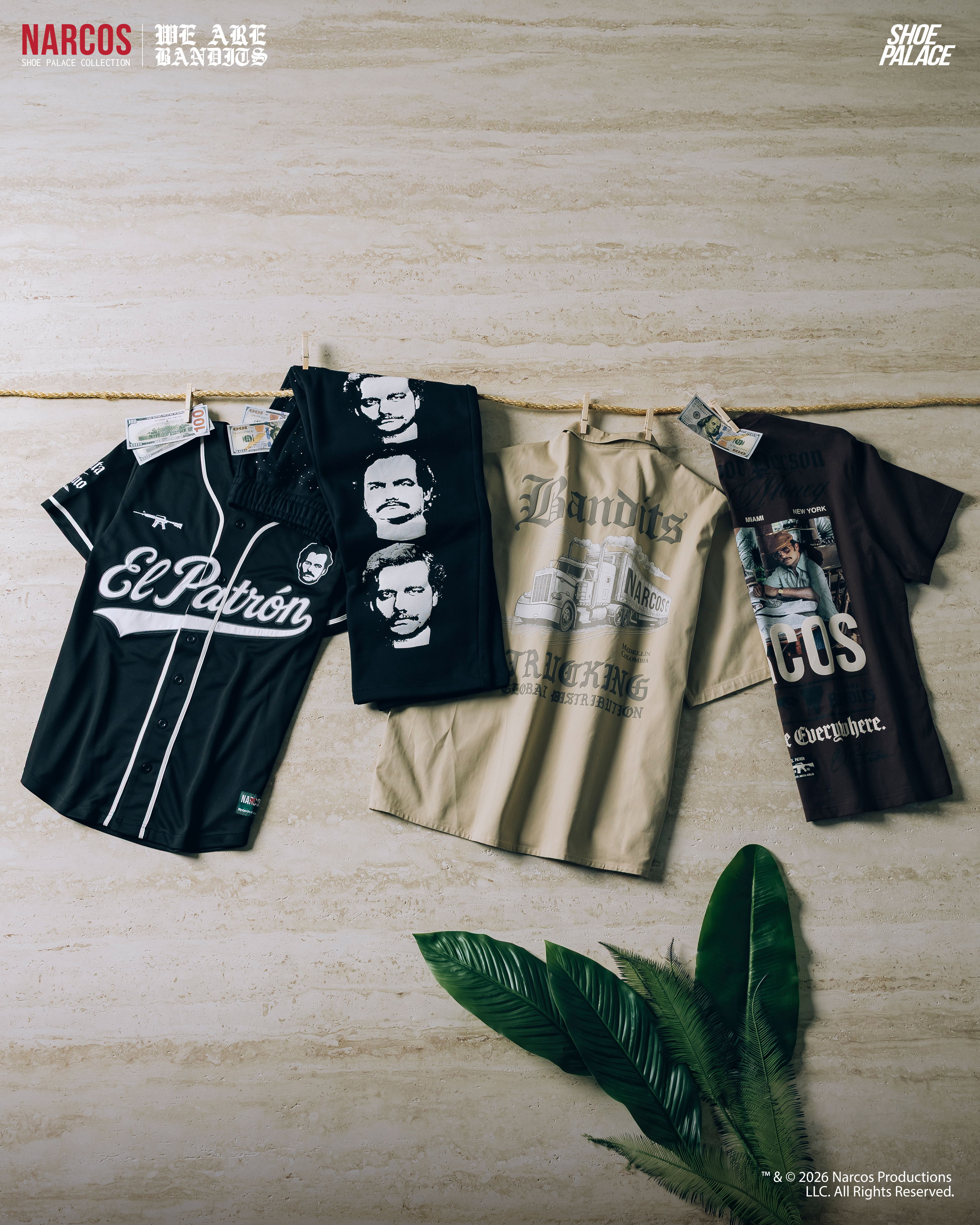 Three T-shirts hanging on a wall with a green plant below.