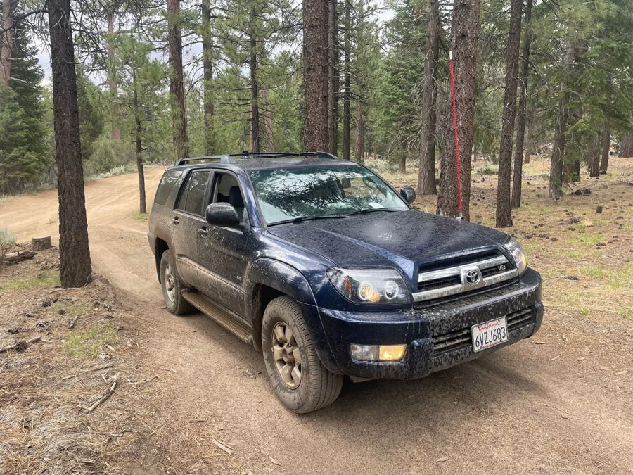 Mud-splattered dark blue Toyota 4Runner V8 dirt trail pine forest Trevor's 2005 Toyota 4 Runner Dixie musical horn featured customer install gallery photo 1