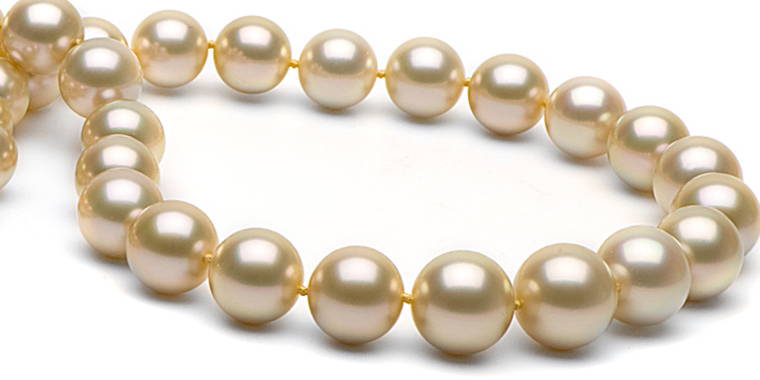 Champagne Golden South Sea Pearls
