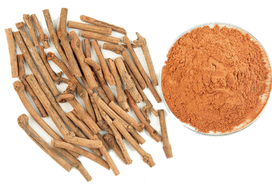 La maravillosa hierba 'Manjishtha' o rubia india, que le da a este aceite su encantador color y potencia. Aquí se muestran sus tallos, sólidos y en polvo.