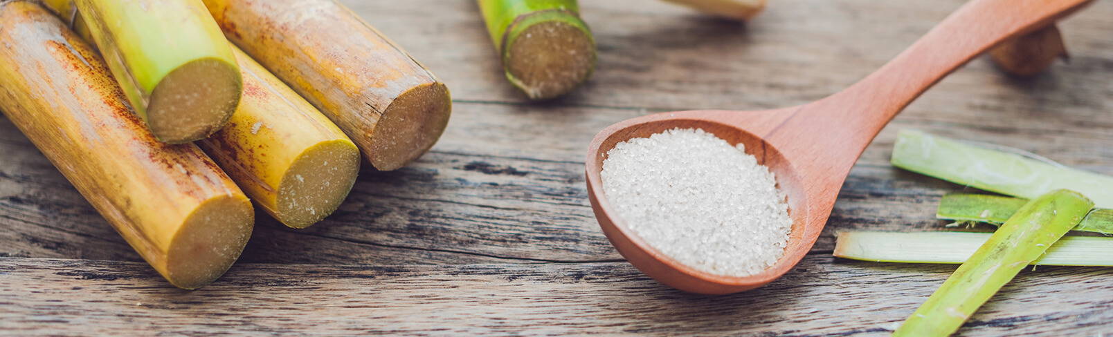 High Quality Organics Express Sugar in a spoon with sugar cane