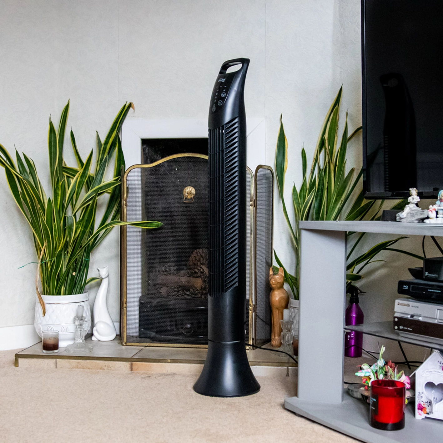A black tower fan beside indoor plants in a living room setting.