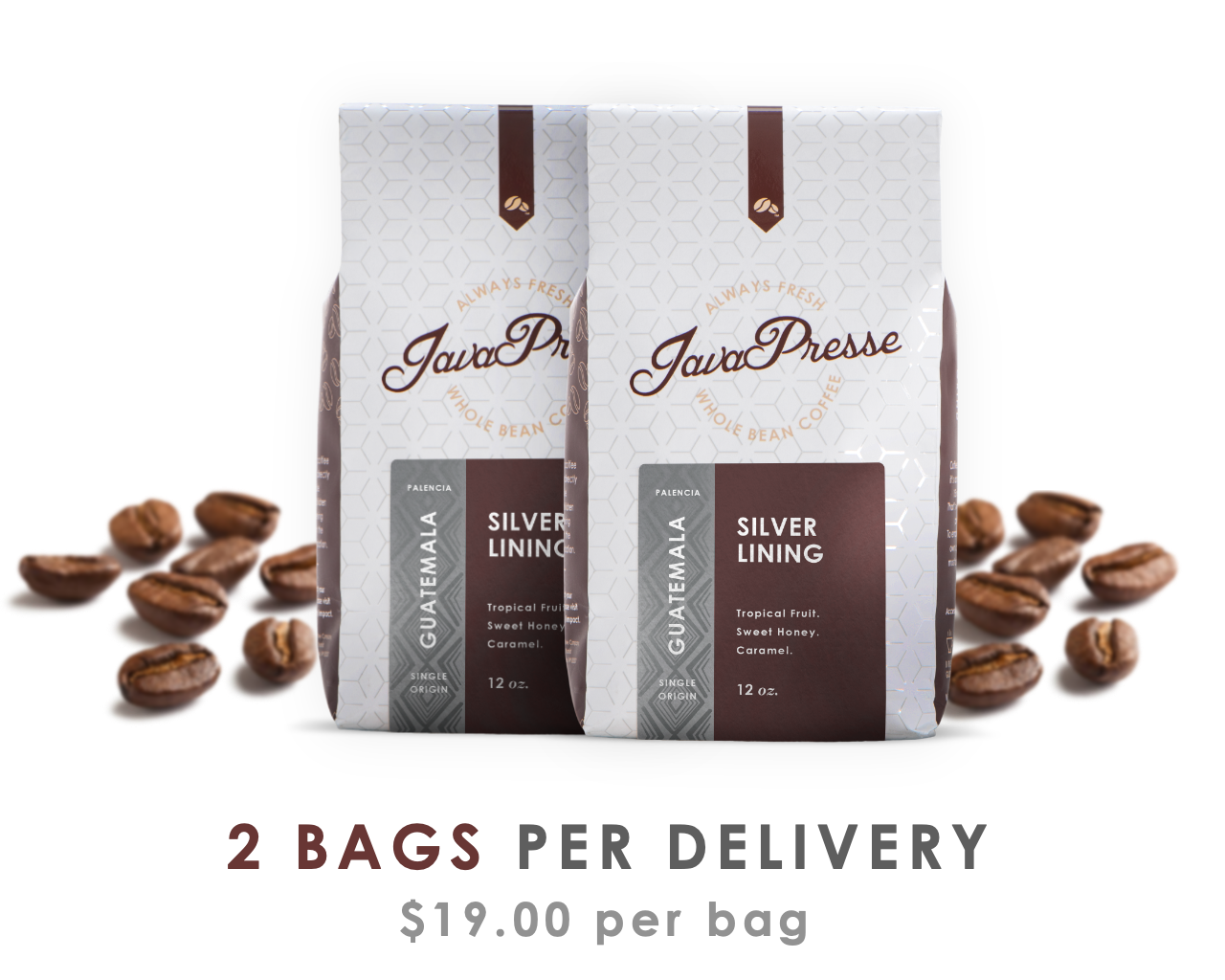 Coffee of the Month Package Selection JavaPresse Coffee Company