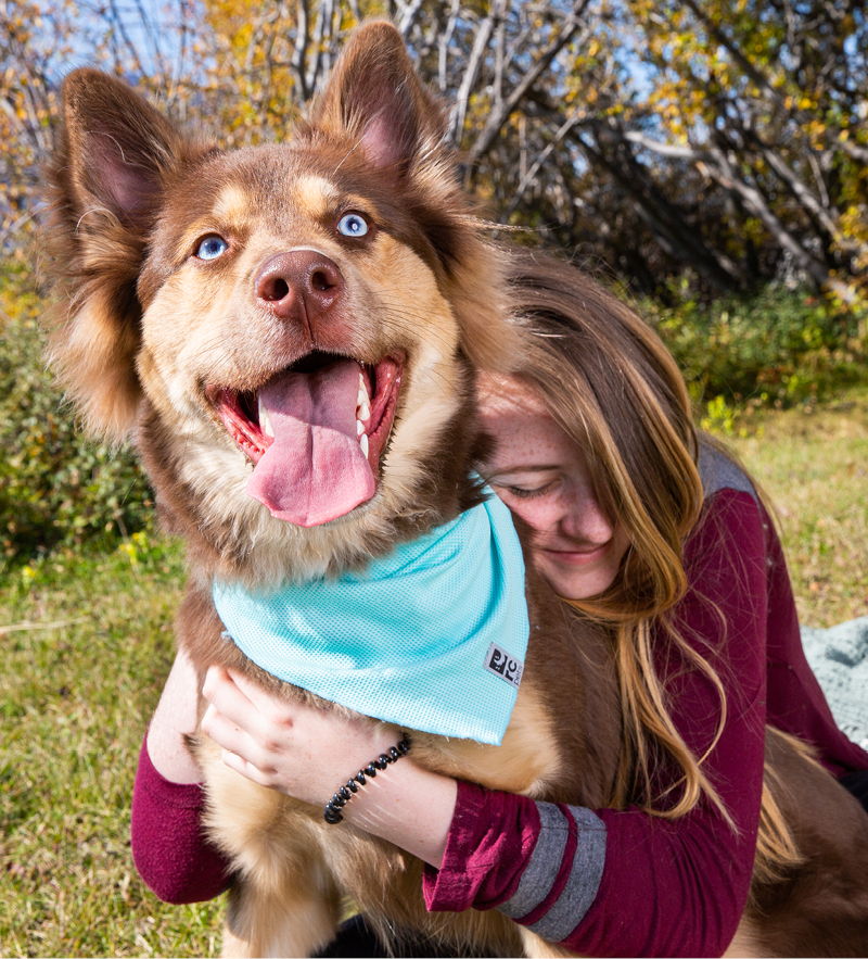 Girl hugging a happy dog wearing a blue bandana outdoors.