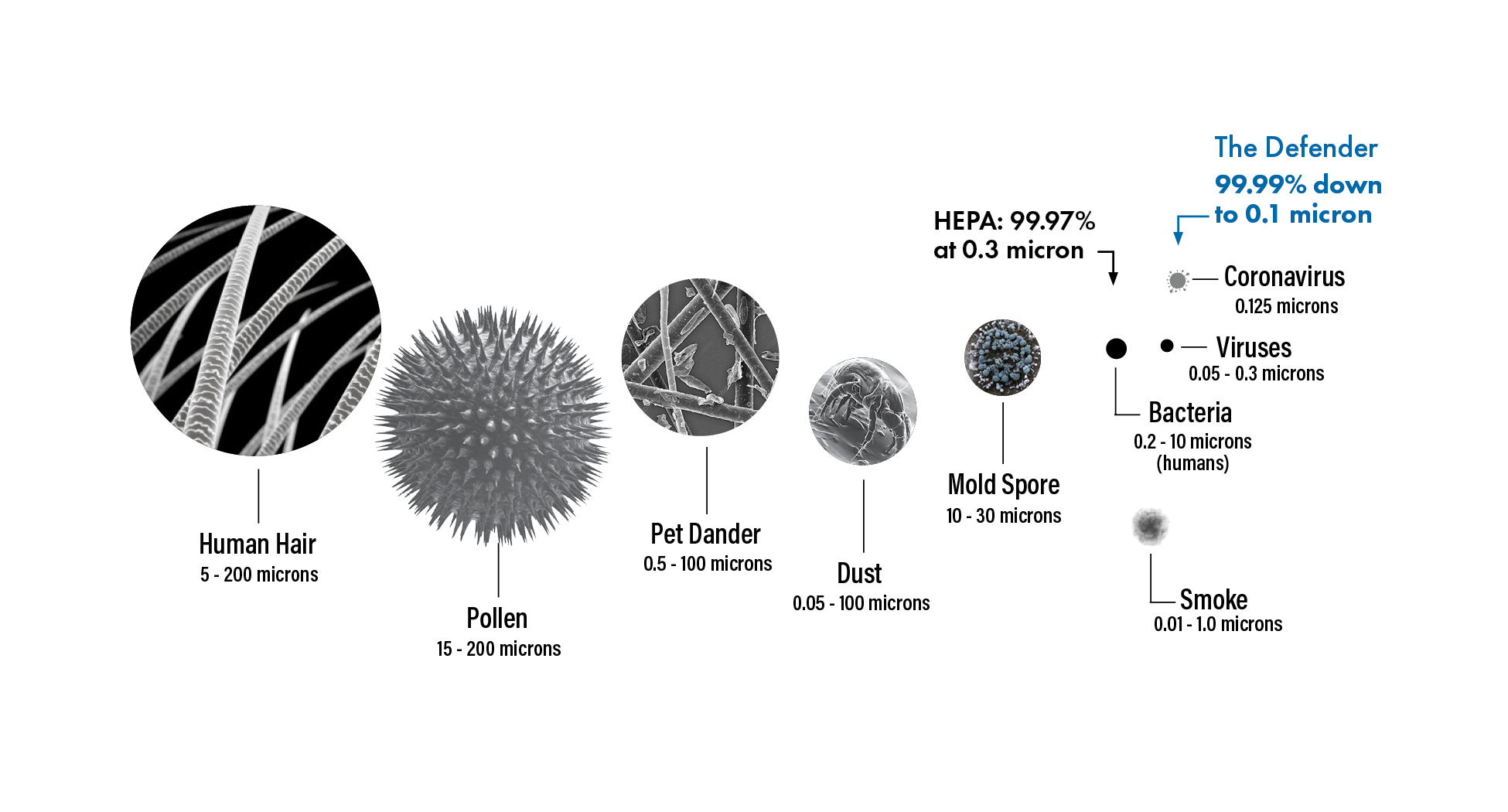 particle comparison chart