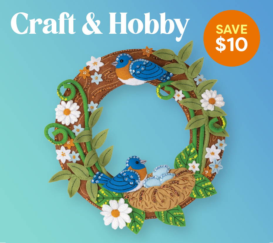 Save $10 on Craft and Hobby