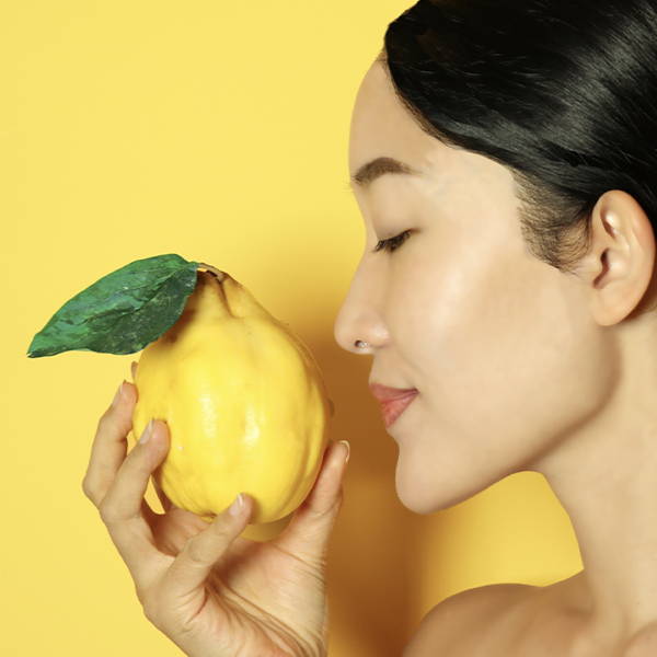 マルメロについて レナジャポン 公式