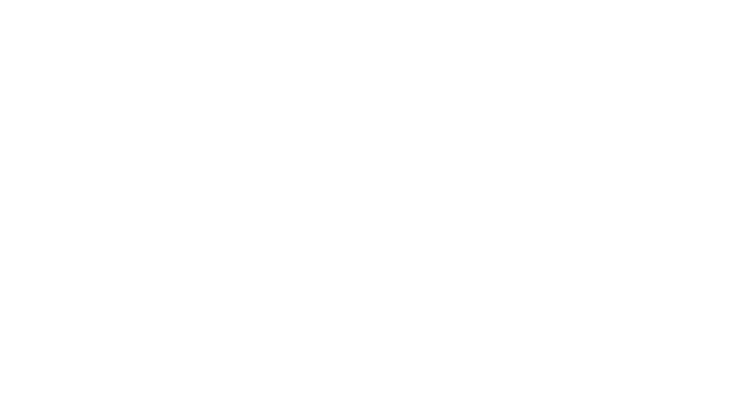 Aneka Logo in white