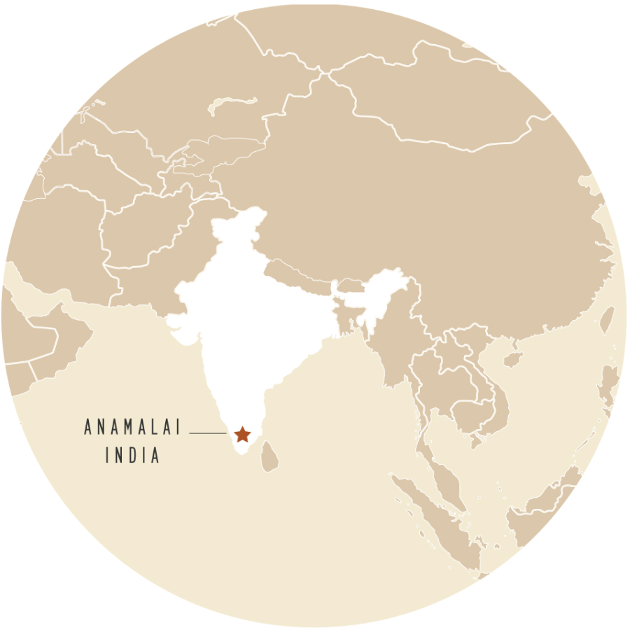 Anamalai, India map