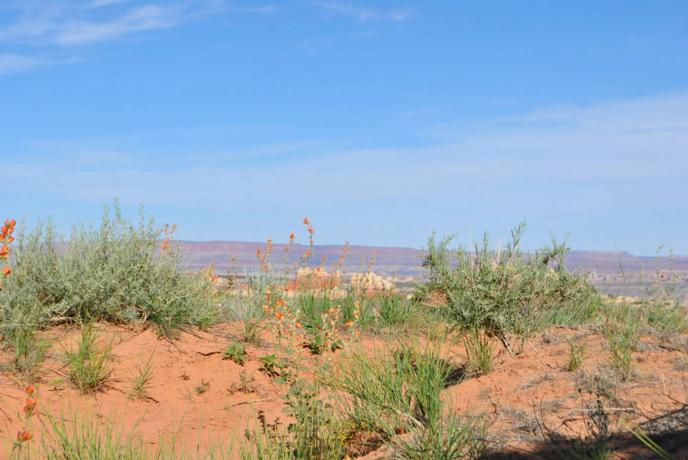 Moab scenery