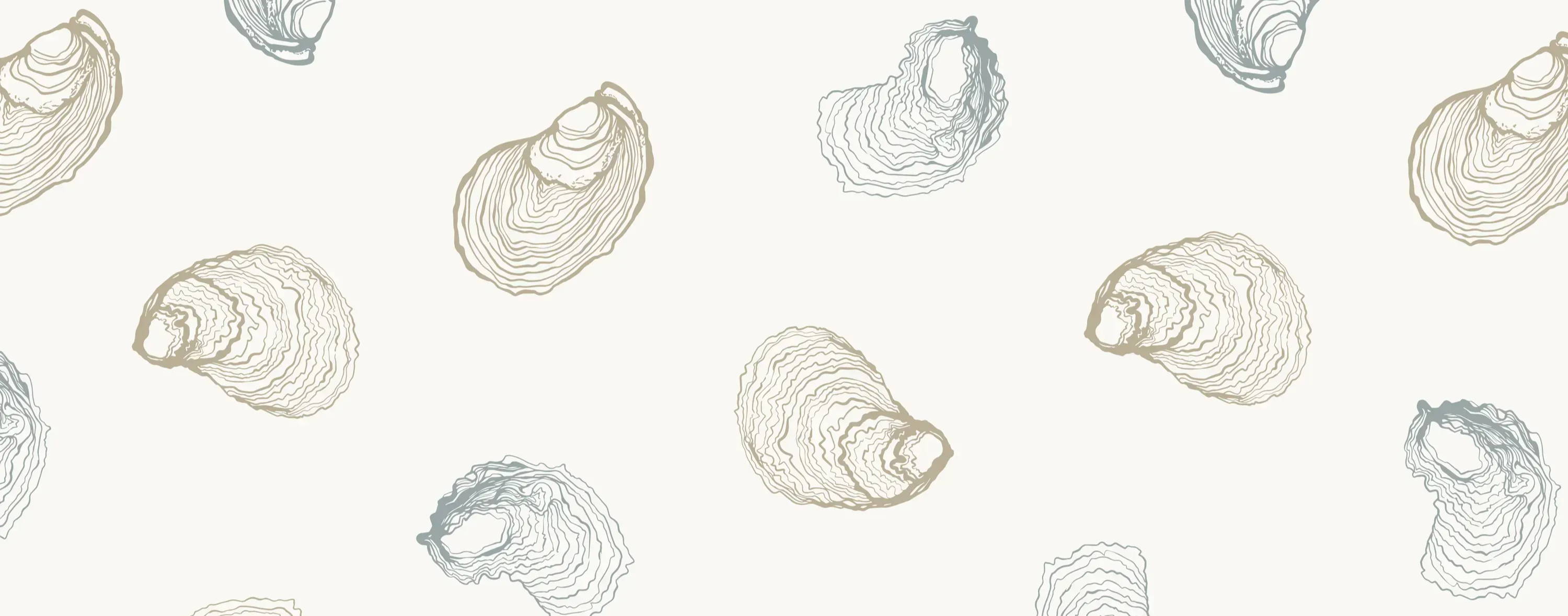 Oyster wedding illustration, drawing  | The Small Town Studio