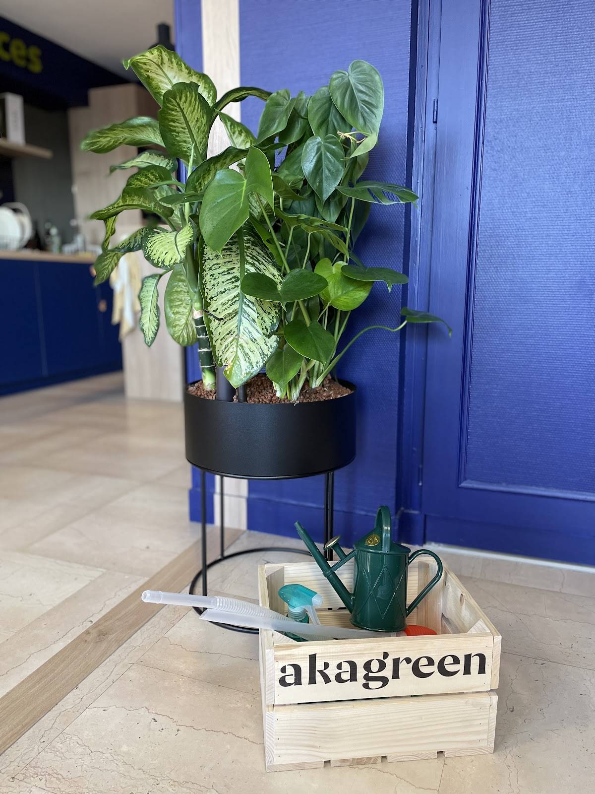 aKagreen expert en entretien des plantes