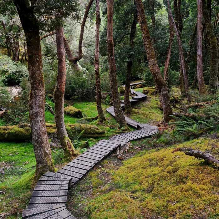 Enchanted Walk – Cradle Mountain, Tasmania
