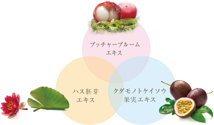 セルリファーム フェイスクリーム – DAMAI セルリファーム フェイスクリーム – DAMAI