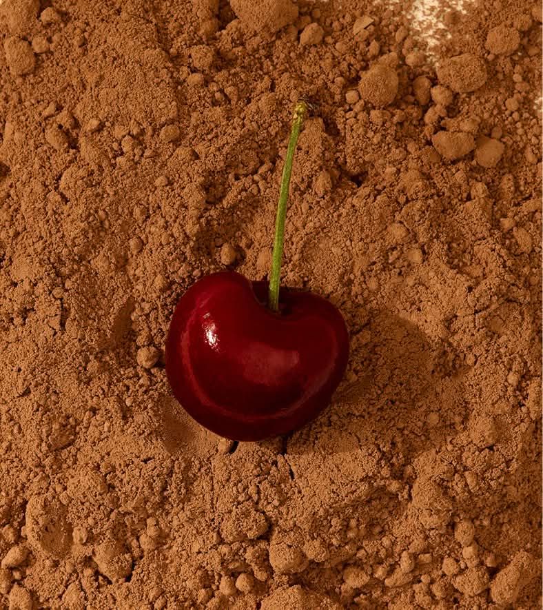 A cherry placed on cocoa powder.