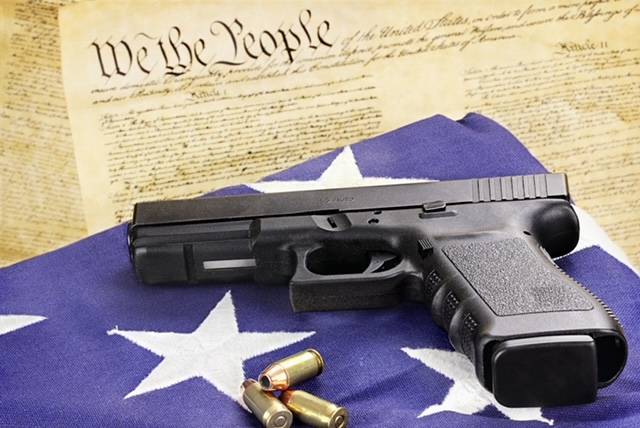 Gun with the Constitution