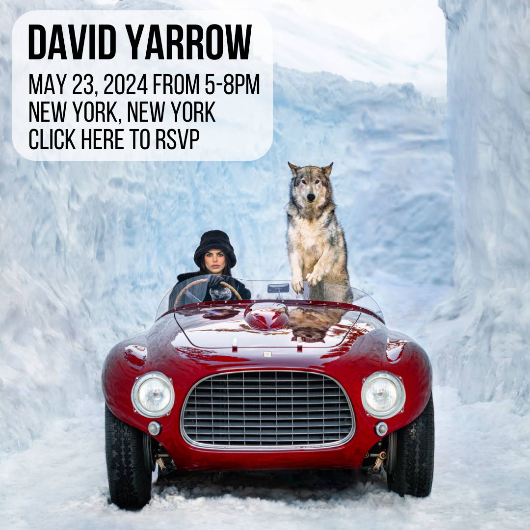 David Yarrow. New York Reception. Sorrel Sky