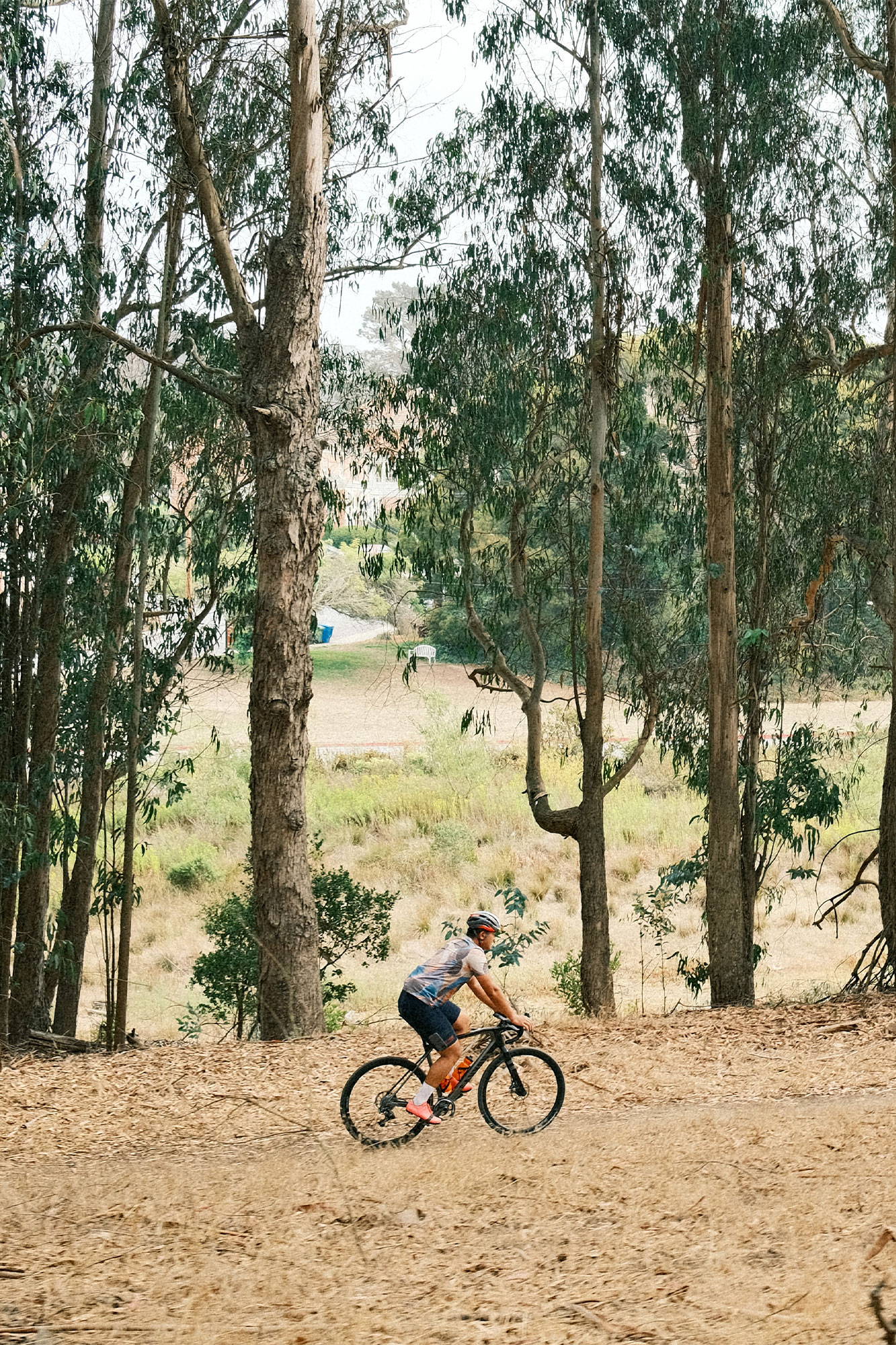 Rider in wooded area