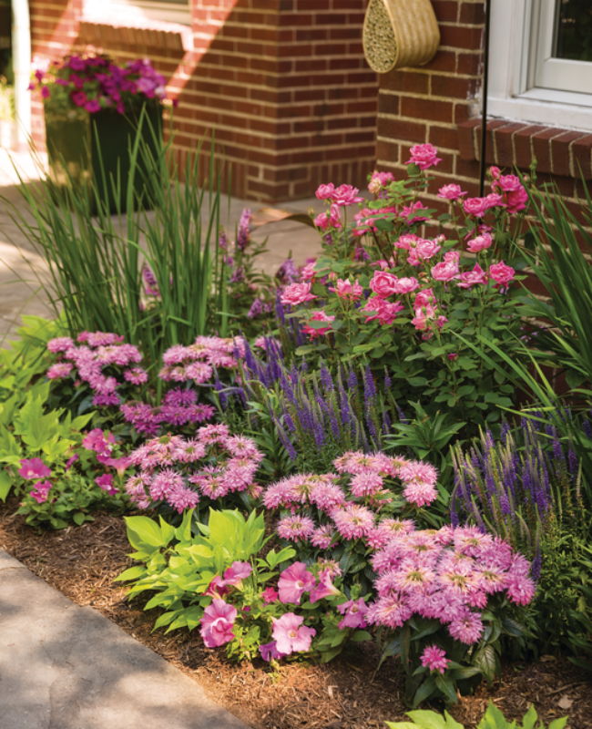 Mini Garden next to a brick house filled with annuals