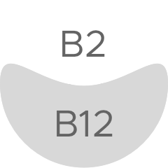 VITAMIN B2 & B12