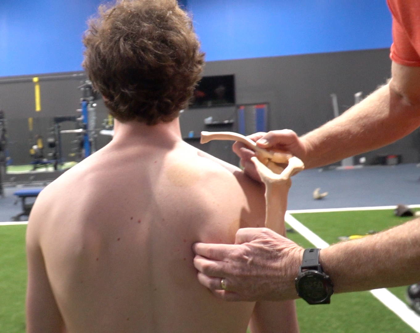 scapula that does not lay flat on back