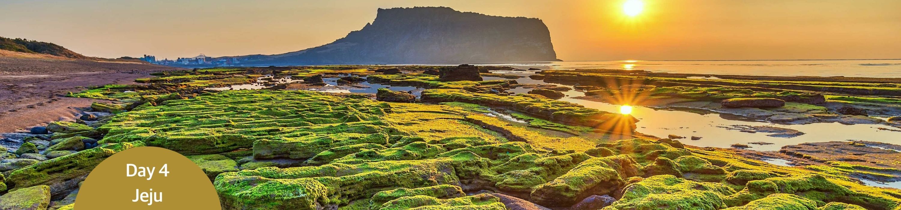 Day 4_Jeju