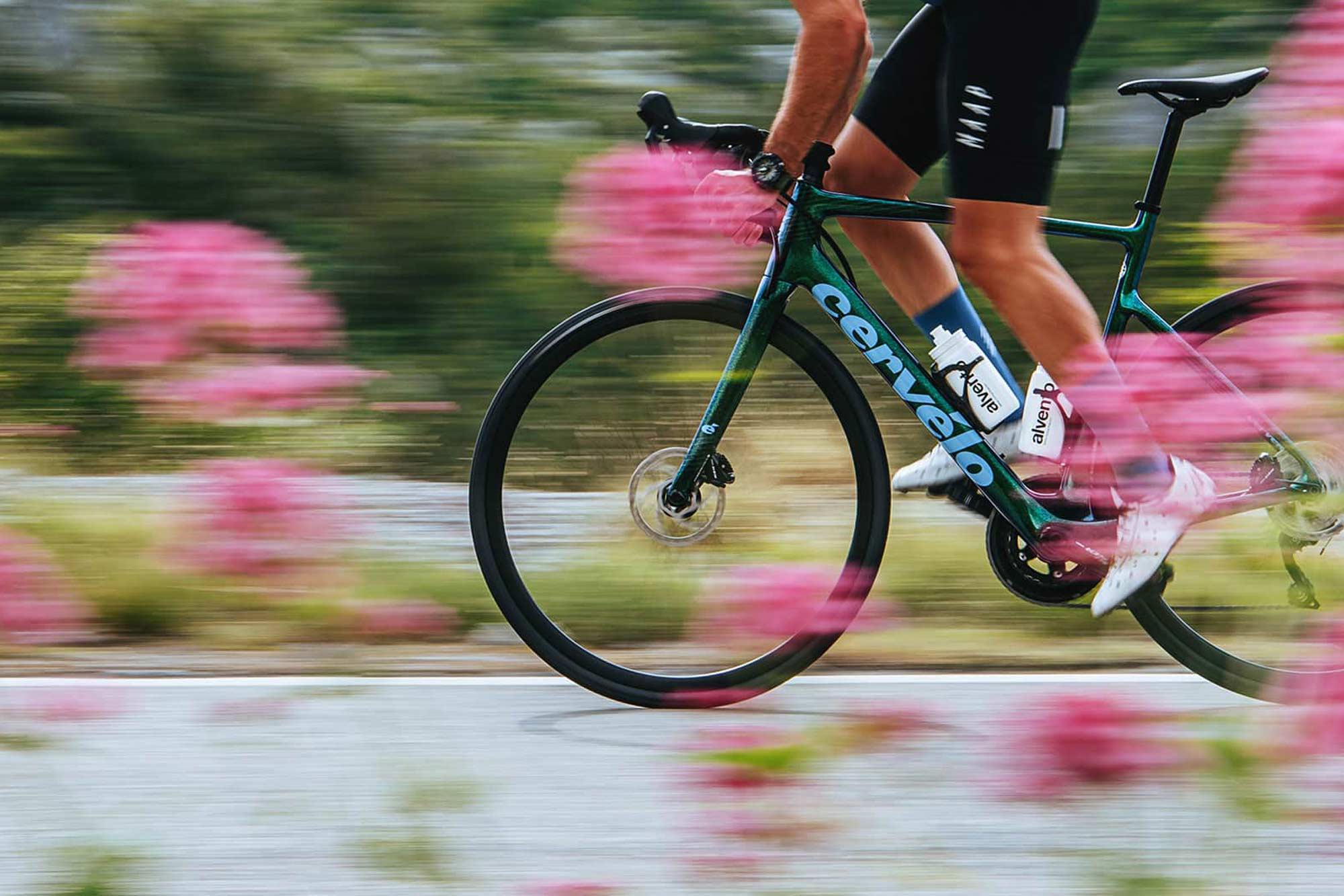 Cervelo Caledonia going FAST. Pink Flowers.