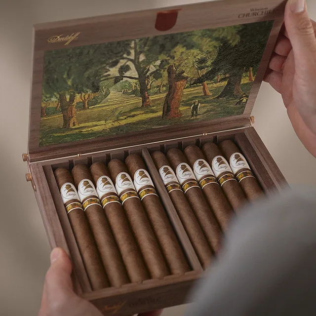 Davidoff Winston Churchill Limited Edition 2025 Zigarren in der offenen Kiste