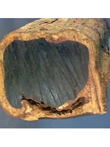 ebony wood trunk