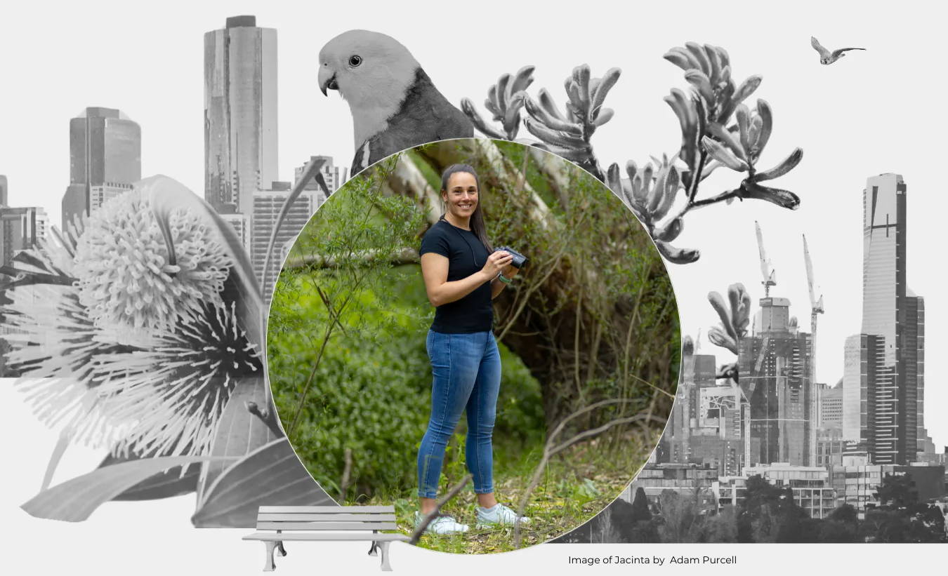 Jacinta Humphrey image wtih the city of melbourne and native flora, with an Australian King Parrot