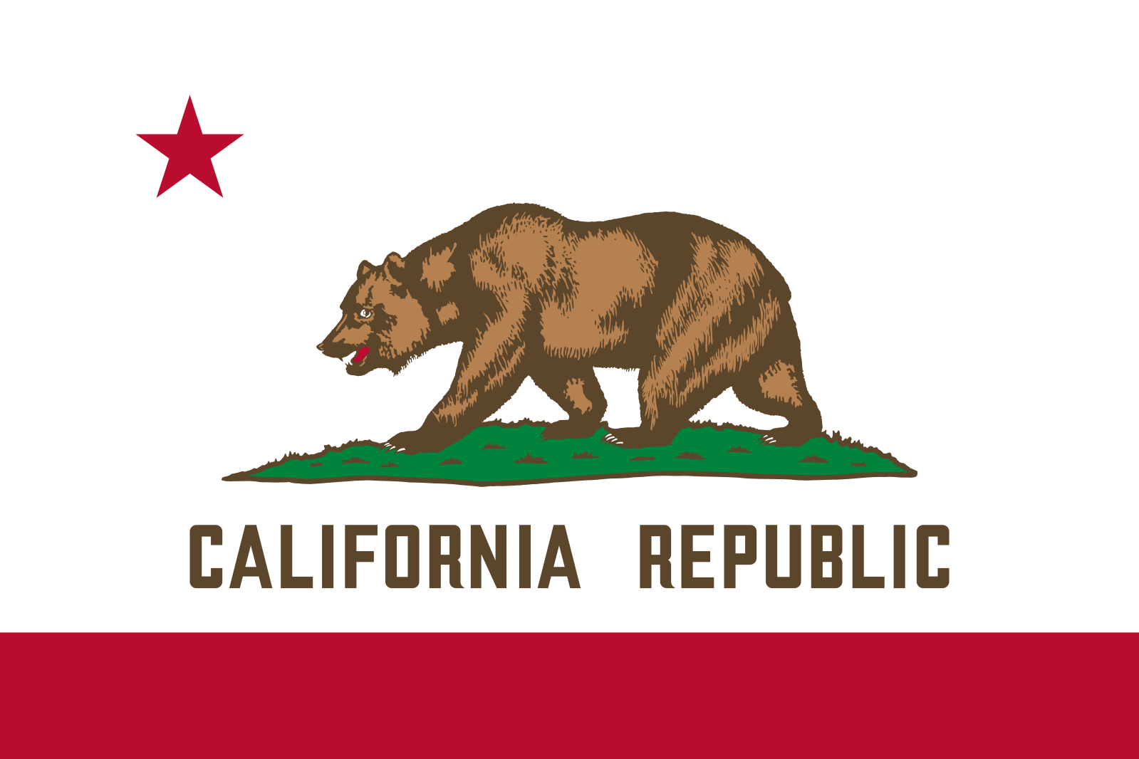 Bear walking on grass under a star, with 