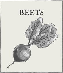 Jump down to Beets growing guide