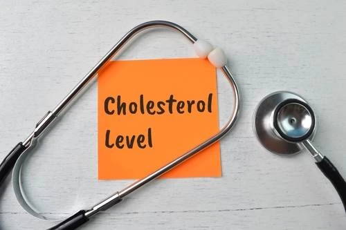 Berberine and managing cholesterol levels