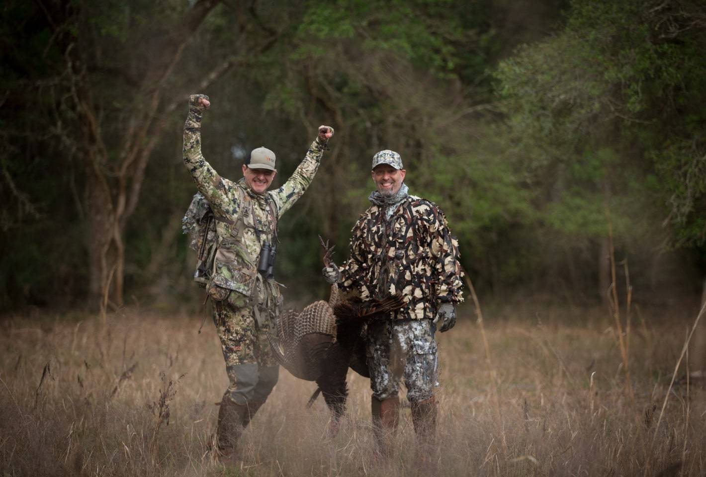 True Wild Florida Turkey