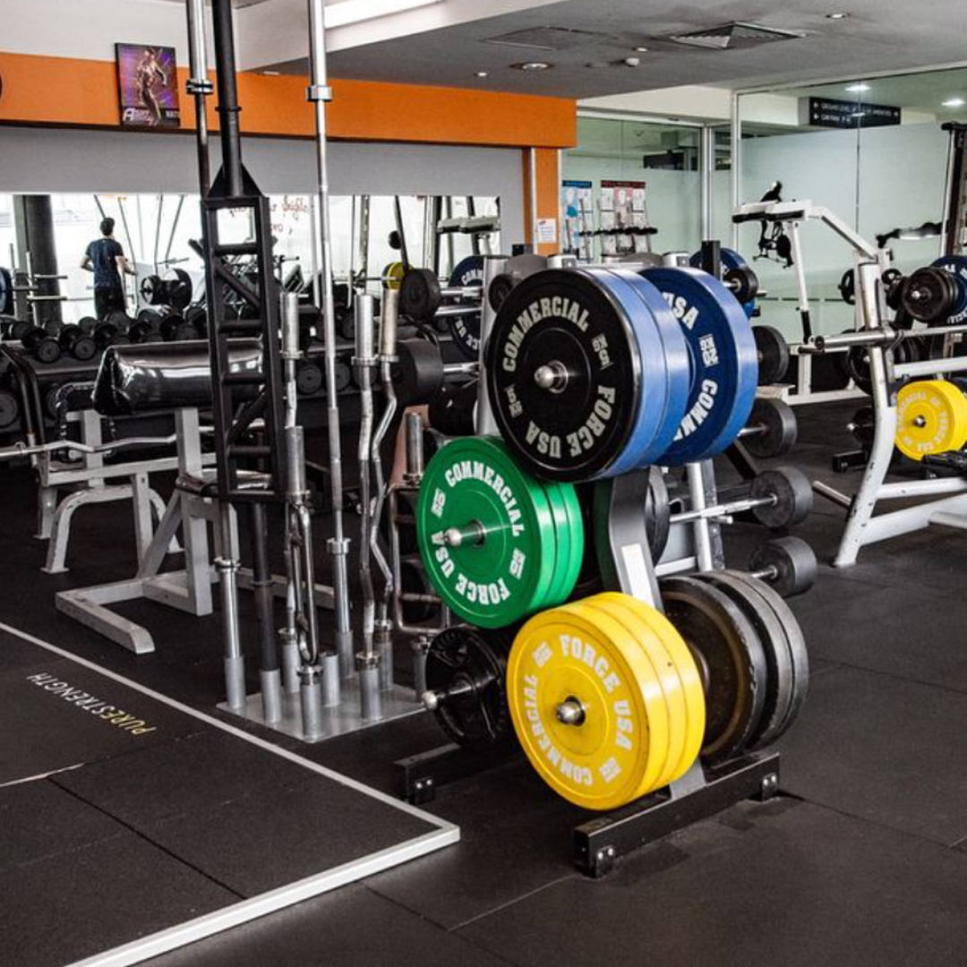 Globe Health Club gym fitout