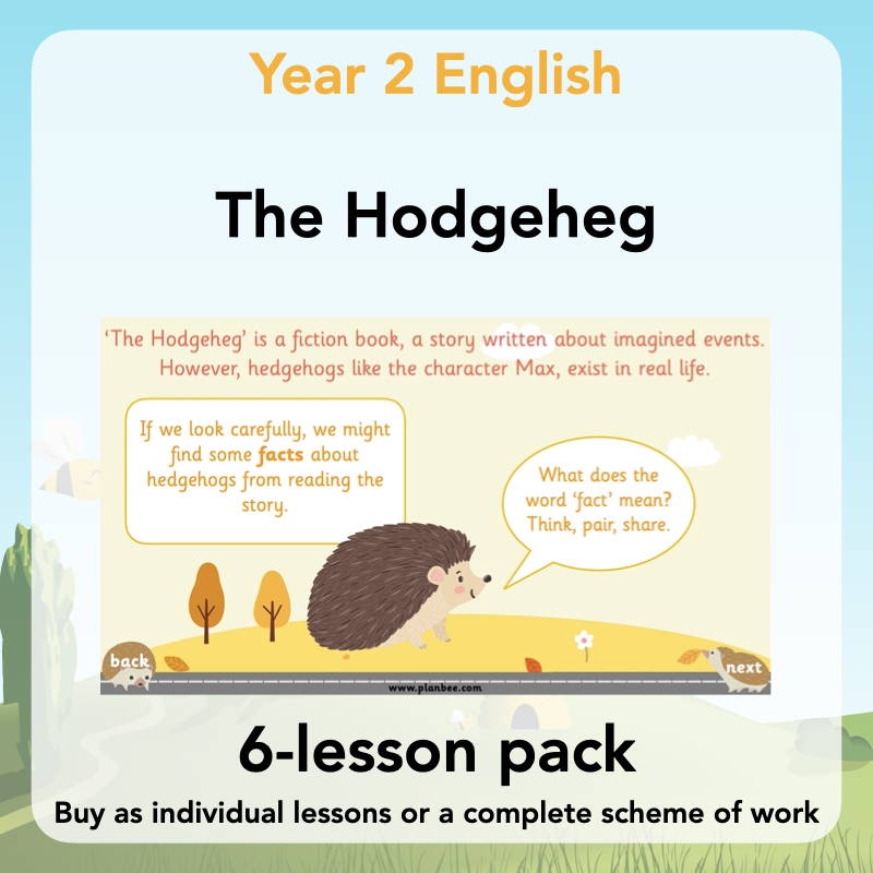 Year 2 Curriculum - The Hodgeheg 