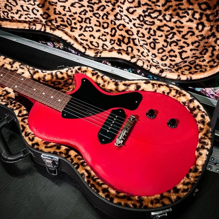 Red electric guitar in a leopard-print case.