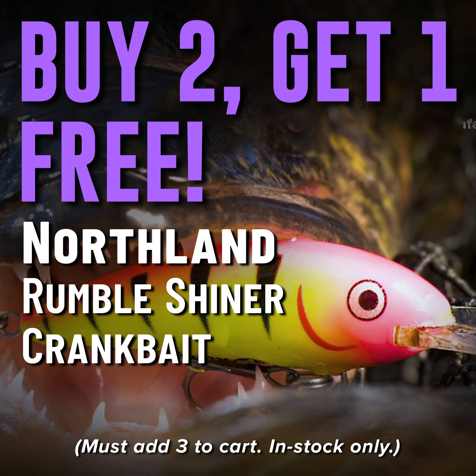 Buy 2, Get 1 Free! Northland Rumble Shiner Crankbait (Must add 3 to cart. In-stock only.)