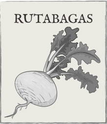Jump down to Rutabagas growing guide