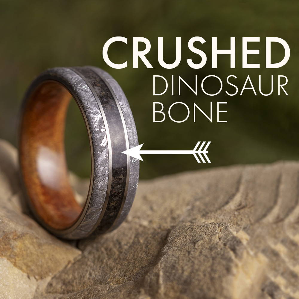 Dinosaur bone and meteorite ring with wood sleeve