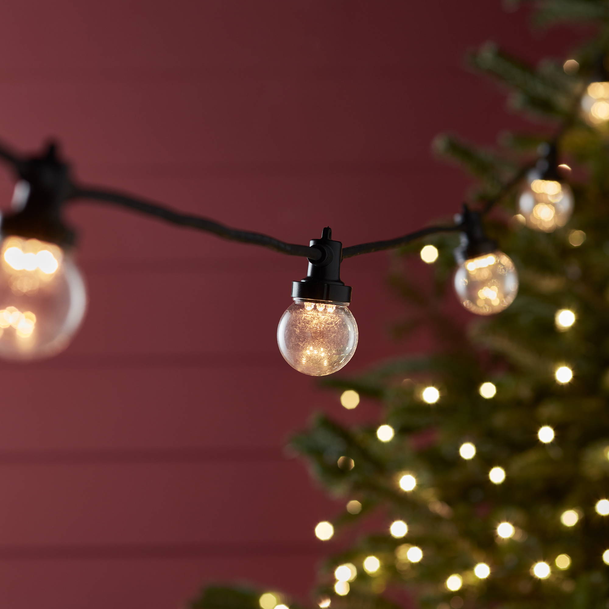Festoon lights on a black cable with a Christmas tree in the background.